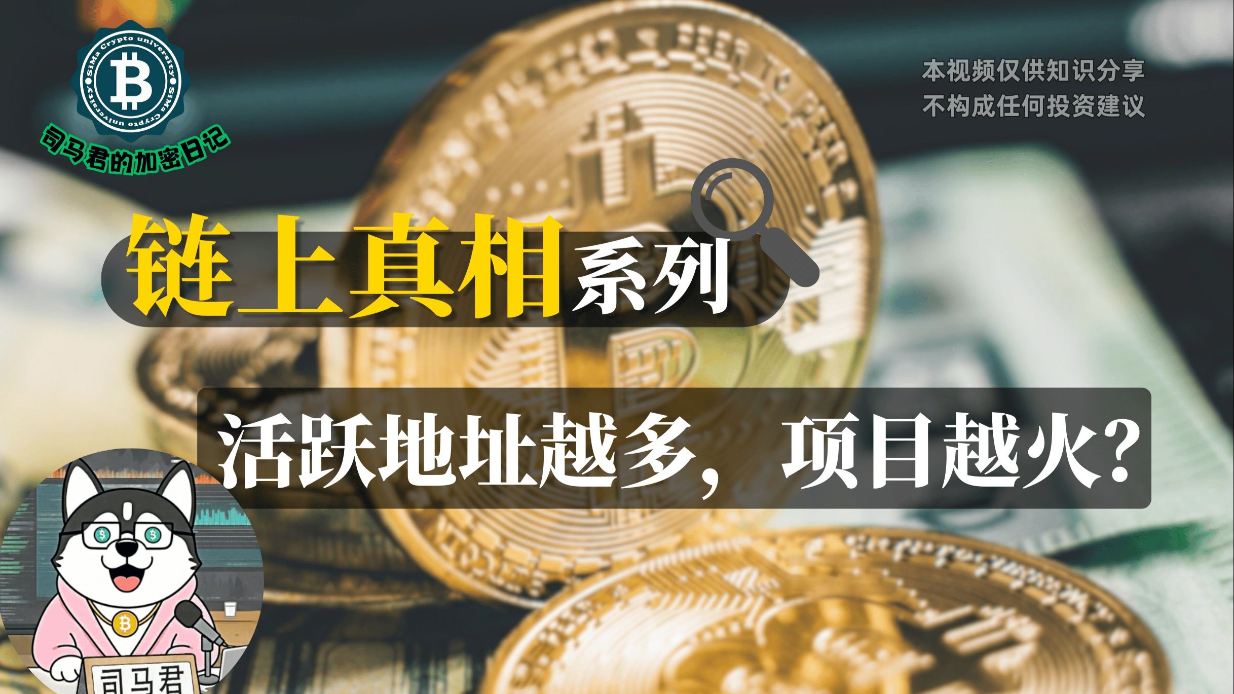 半岛体育-关于链上数据显示，加密钱包成为全球关注焦点的信息