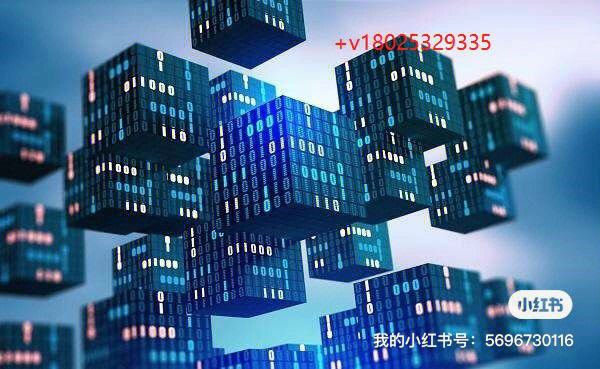 关于链上数据显示，加密钱包成为全球关注焦点的信息