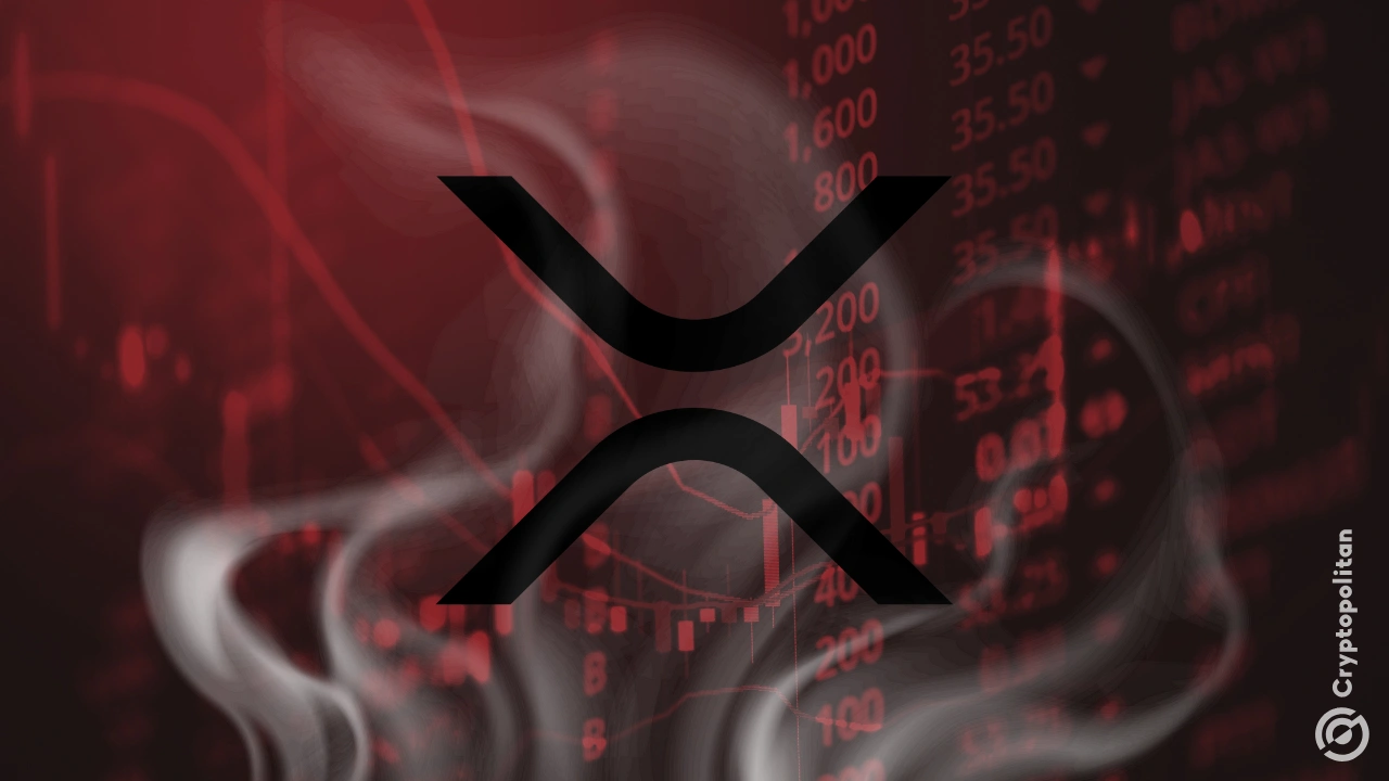 XRP上扬势惊人，一夜飙升SEC%，加密市场沸腾的简单介绍